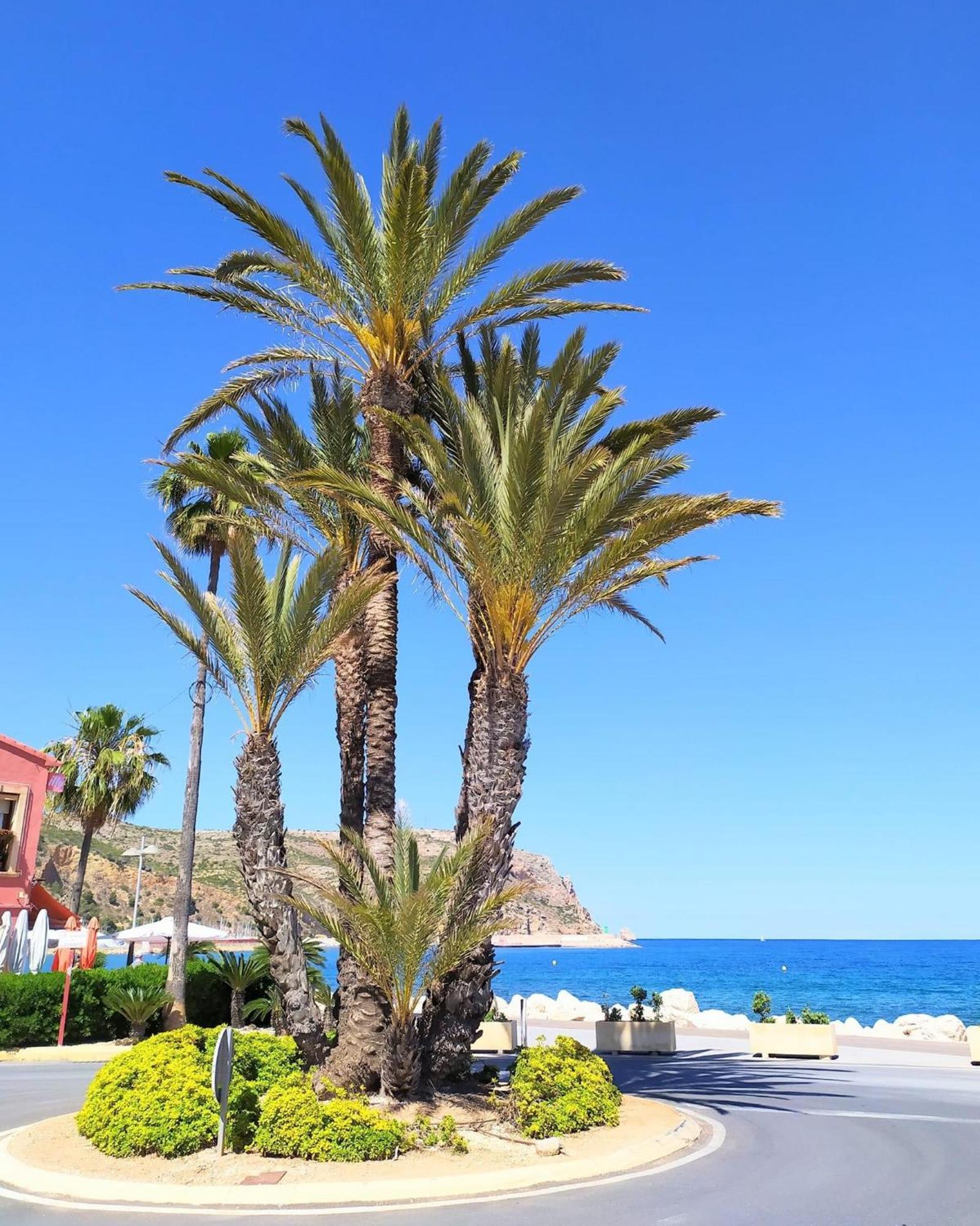 Javea Arenal Beach Екстериор снимка